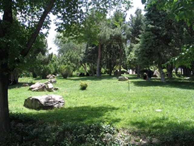گالري تصاوير