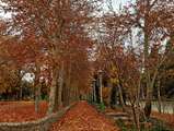دانشکده علوم و فناوری های زیستی