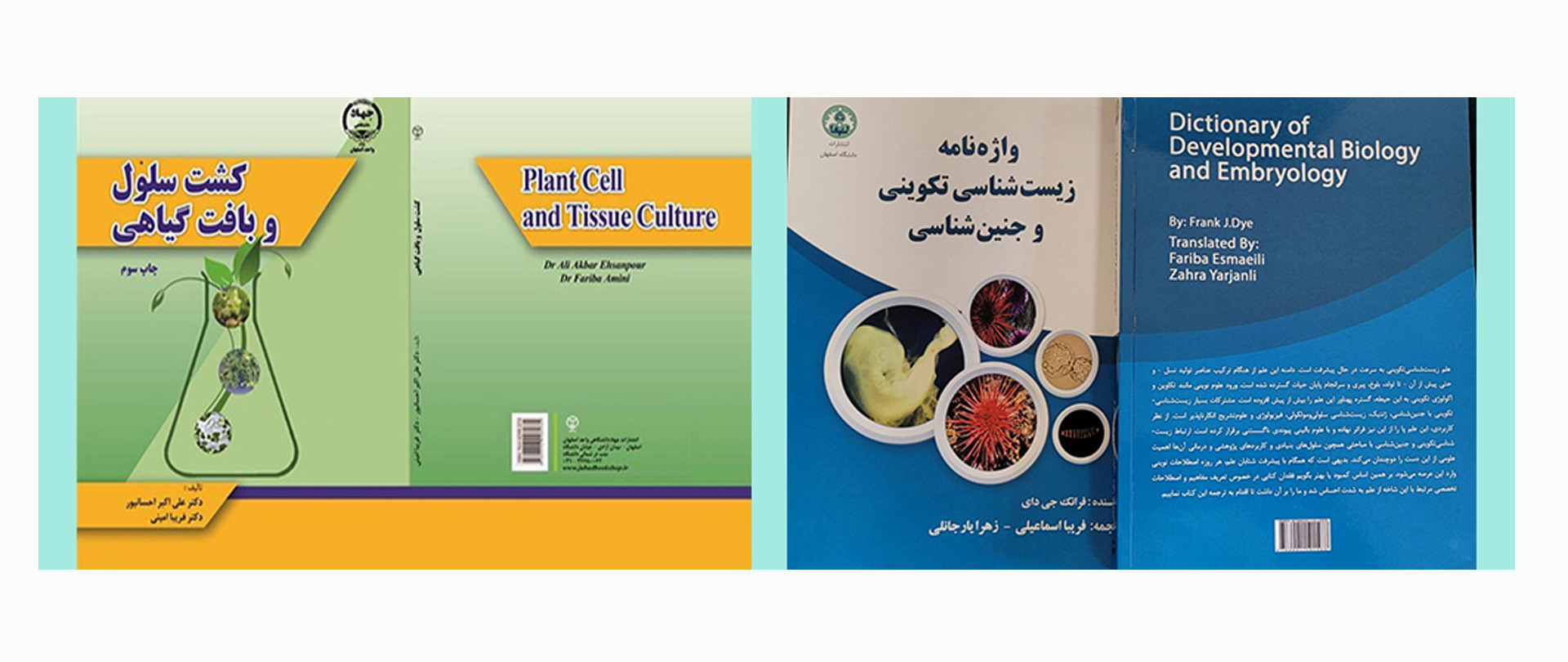 اسلاید4