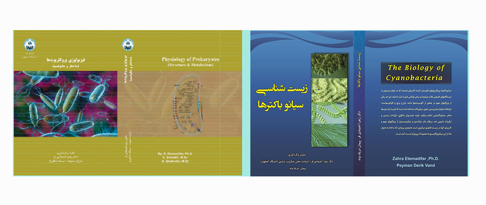 اسلاید8