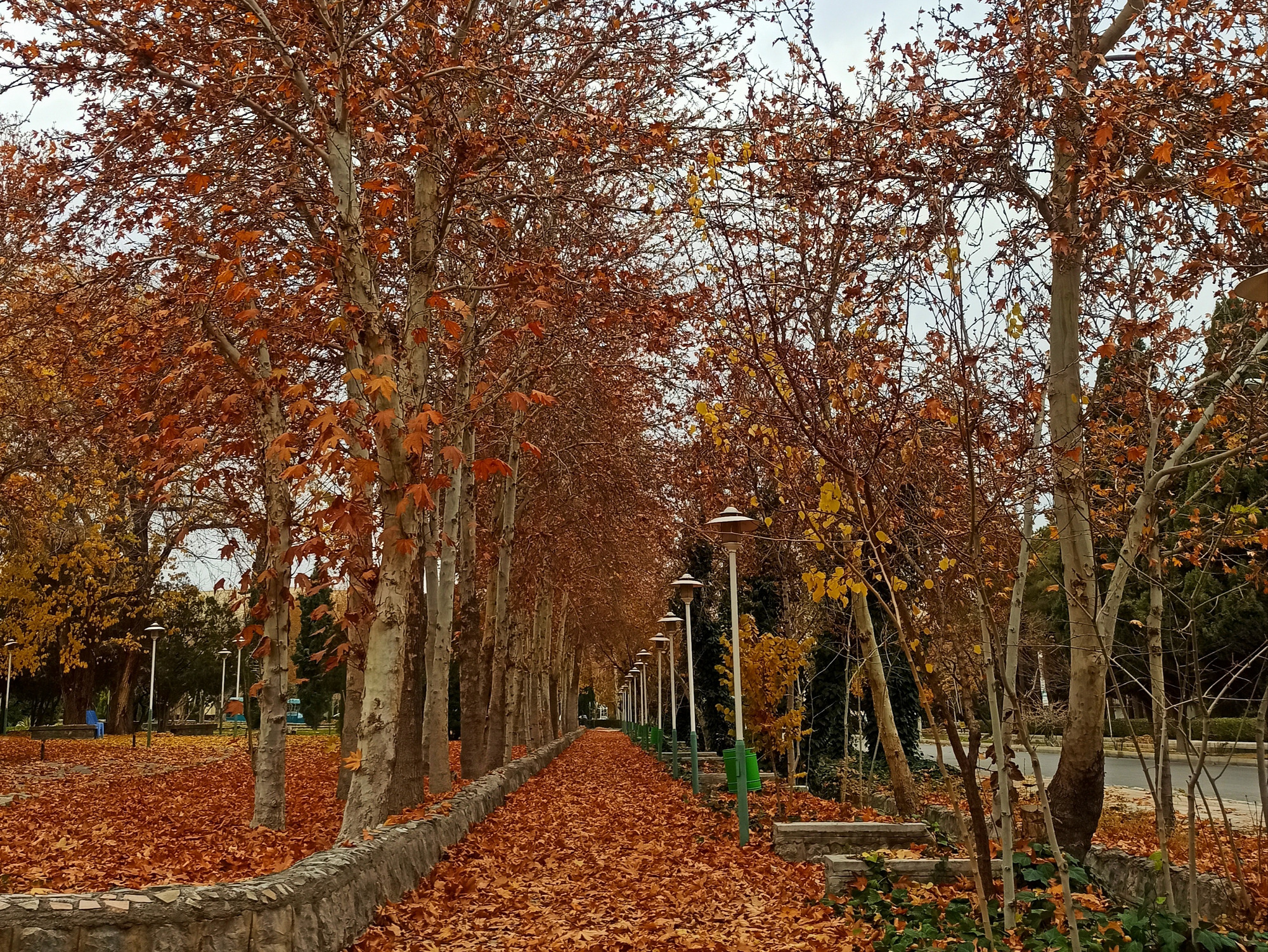 دانشگاه اصفهان