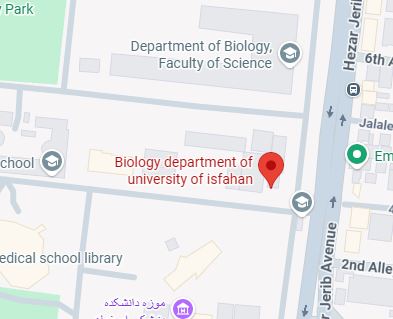 International Scientific Cooperation Office google map